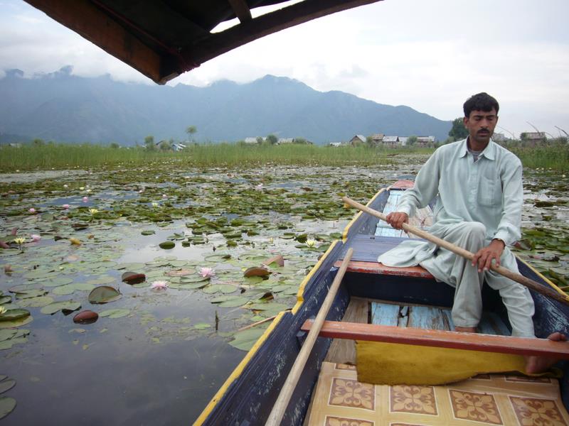 Travel - India - Kashmir - Srinagar - Shikara Ride